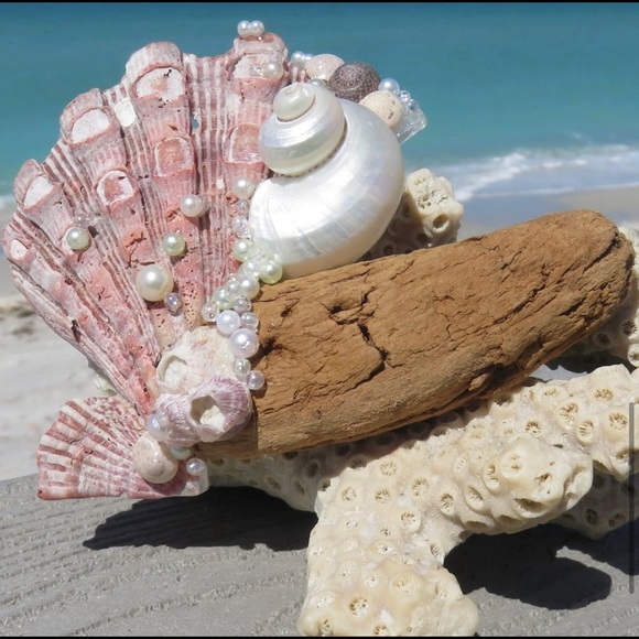 Lion's Paw Driftwood Coral Pearly Beachscape OOAK Handcrafted Coastal Art - Picture 11 of 11